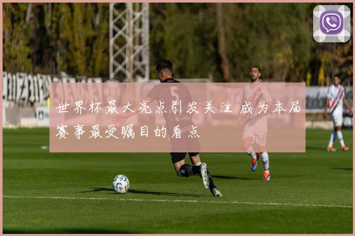 世界杯最大亮点引发关注 成为本届赛事最受瞩目的看点