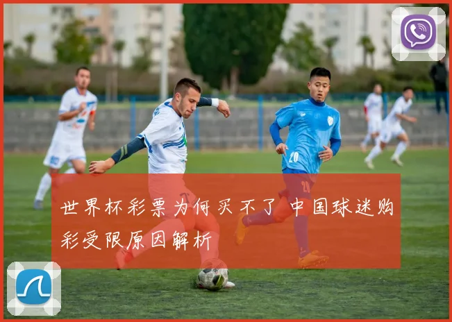世界杯彩票为何买不了 中国球迷购彩受限原因解析