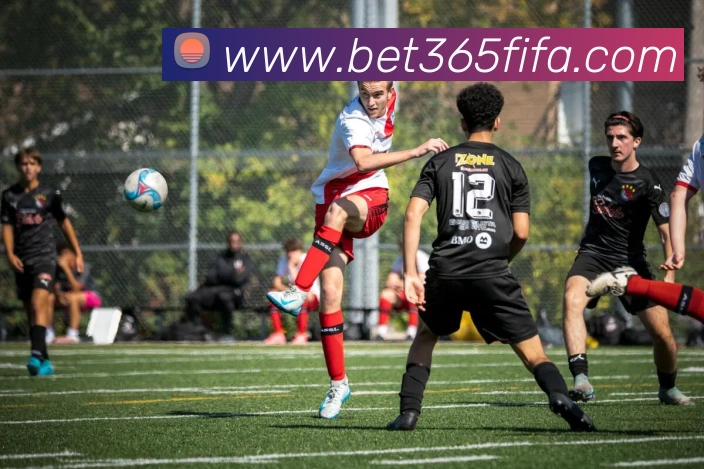 世界杯官网线上平台服务体系